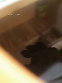 预览图4