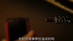 预览图9