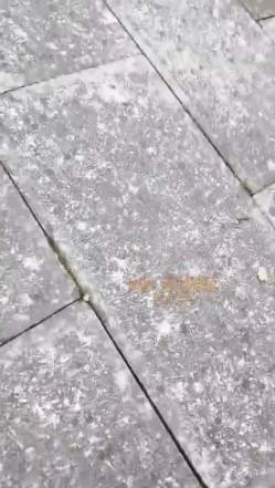 预览图11