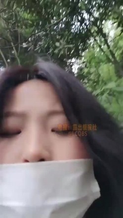 预览图12
