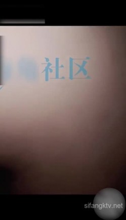 预览图16