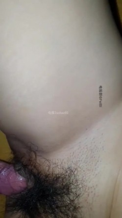 预览图8
