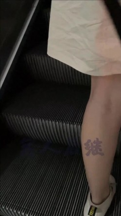 预览图1