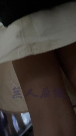 预览图4
