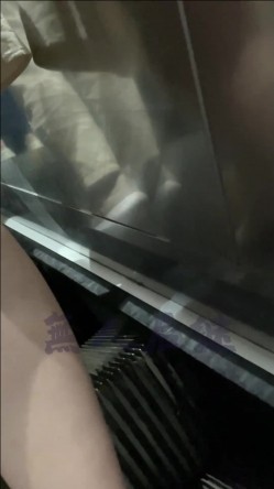 预览图13