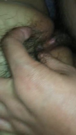 预览图15