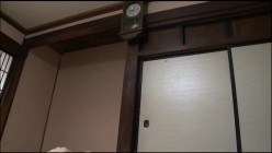 预览图13