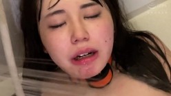 预览图13