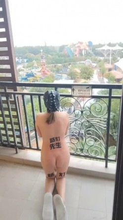 预览图3