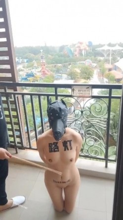 预览图5