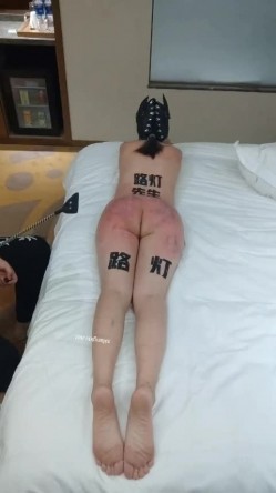 预览图13