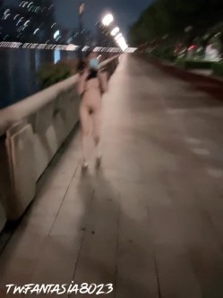 预览图4