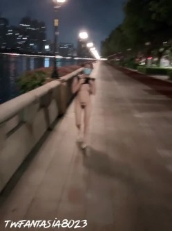 预览图5