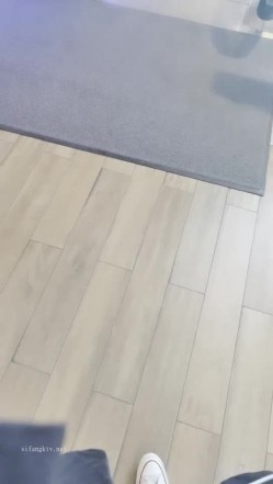 预览图4