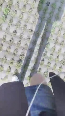 预览图11