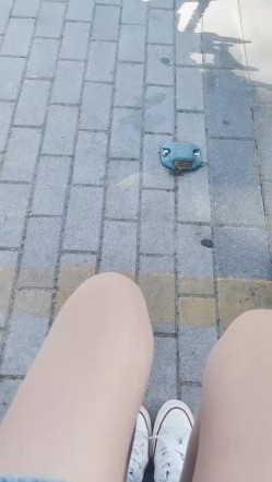 预览图14
