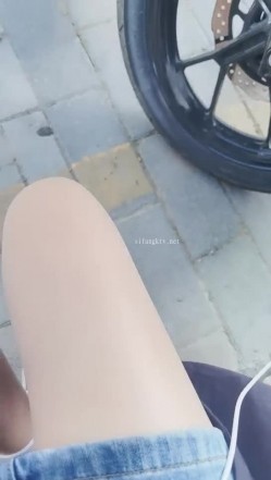 预览图15