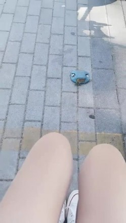 预览图16