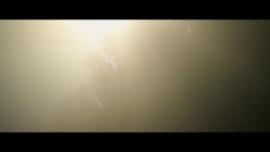 预览图4