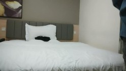 预览图5