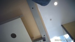 预览图2