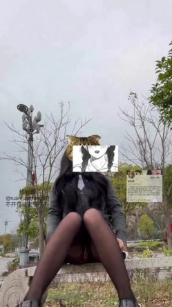 预览图1