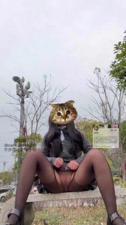 预览图2