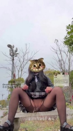 预览图3