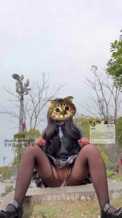 预览图4