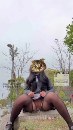 预览图6