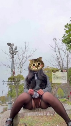 预览图7