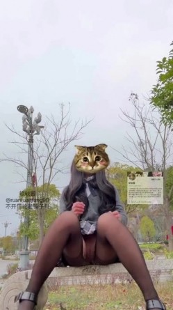 预览图8