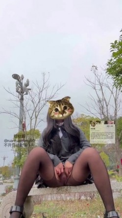 预览图12