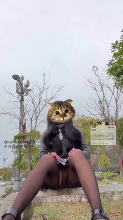 预览图14