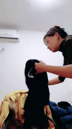 预览图10