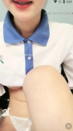 预览图13