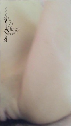 预览图13