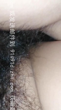 预览图4