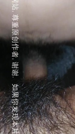 预览图14