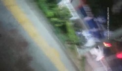 预览图14
