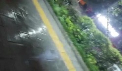 预览图15
