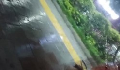 预览图16