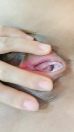 预览图16