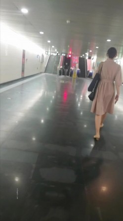 预览图4