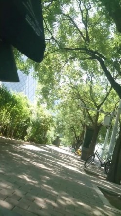 预览图14