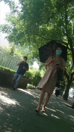 预览图15