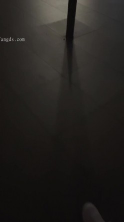 预览图4