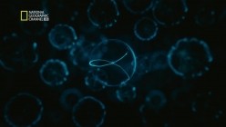 预览图5