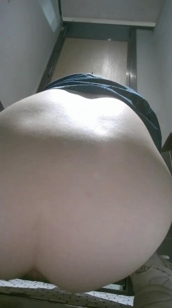 预览图8