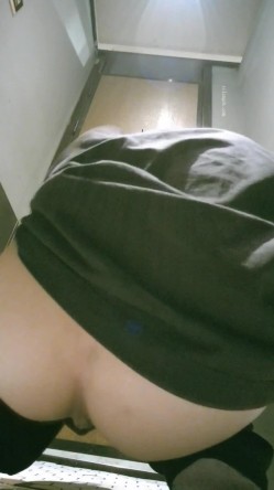 预览图16